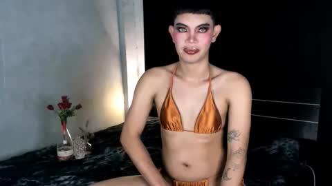 Leren online show from January 12, 5:22 pm