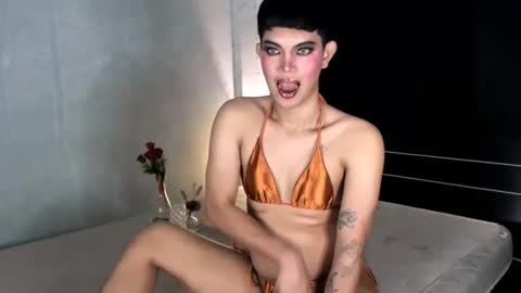 Leren online show from January 3, 4:48 pm