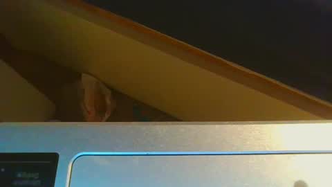 Jason online show from December 15, 8:58 pm