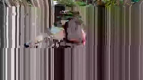 BiHungThickCock69 online show from March 2, 9:32 pm