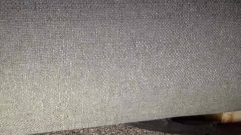 30nick online show from March 7, 9:09 am