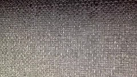 30nick online show from April 8, 6:38 am