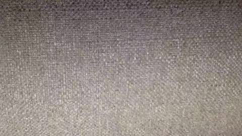 30nick online show from February 12, 7:23 am