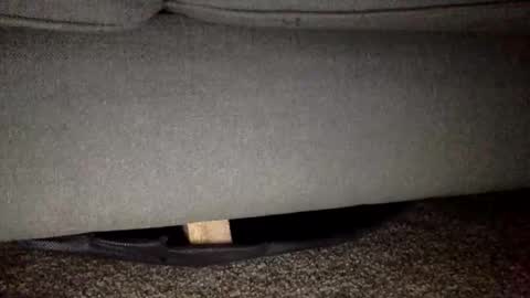 30nick online show from February 25, 5:44 am