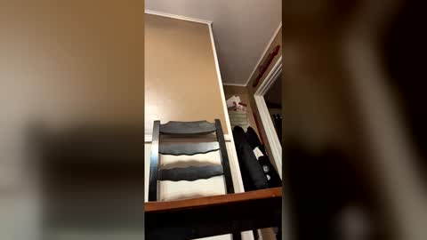 33adidas online show from December 16, 9:15 am