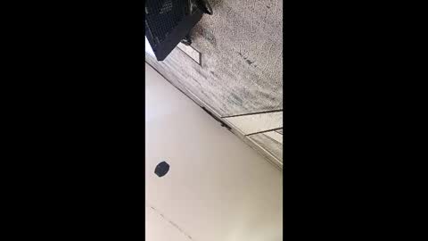 3X NAXAA online show from March 3, 1:18 pm