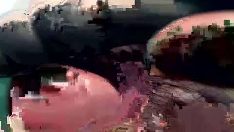 Snapshot of 420_johnnystamina chatting on February 15, 4:45 pm 420_johnnystamina online show from February 15, 4:45 pm