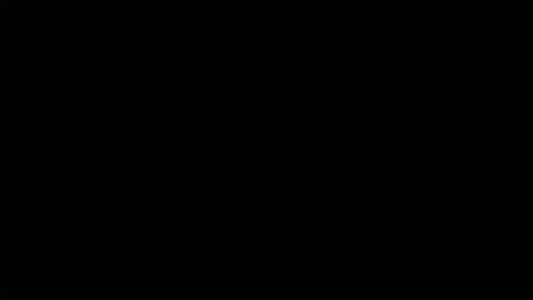 SHANNON online show from December 11, 4:09 pm