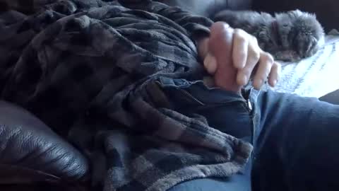 Snapshot of 66bear chatting on December 7, 8:33 pm 66bear online show from December 7, 8:33 pm