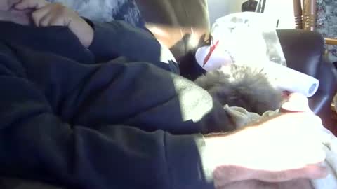 Snapshot of 66bear chatting on September 19, 11:03 am 66bear online show from September 19, 11:03 am