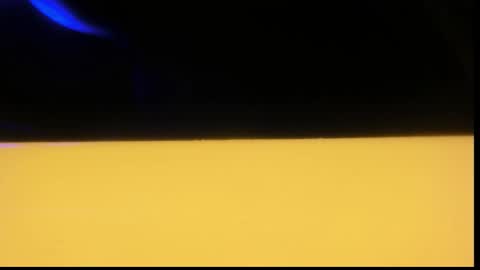 Giulia...... online show from November 29, 8:11 am