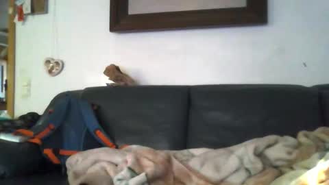 b0rn4porn online show from April 27, 5:32 pm