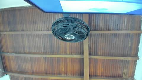 Candy online show from November 21, 6:06 pm