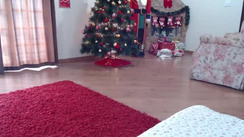 candygirl online show from January 15, 5:58 pm