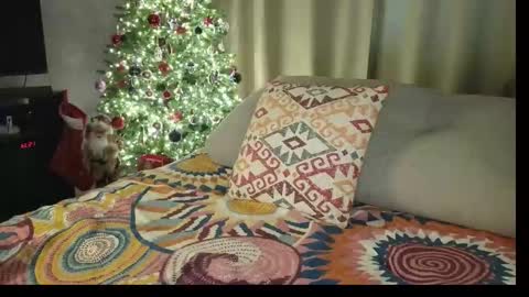 Monica online show from January 10, 6:41 am