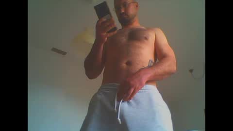 furby online show from March 19, 3:17 pm