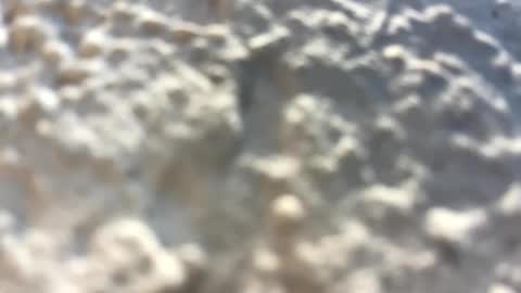 Snapshot of _littlewolfie_ chatting on February 3, 4:10 pm Little Wolfie online show from February 3, 4:10 pm