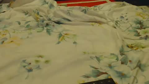 _sambo_ online show from February 11, 10:25 am