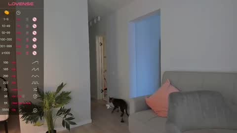 Tessa -  online show from February 10, 9:58 am