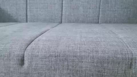 XXL online show from November 2, 7:47 pm