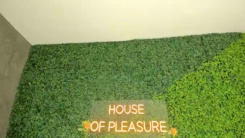 A B B Y online show from December 14, 7:42 pm