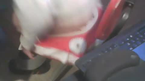 adamsny online show from January 20, 7:04 am