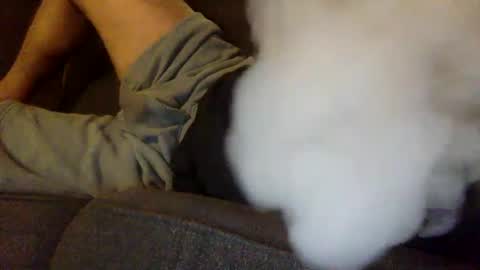 horny kinky daddy online show from September 25, 5:58 am