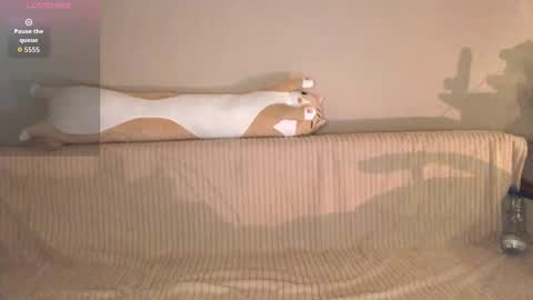 Arielle online show from February 9, 6:00 pm