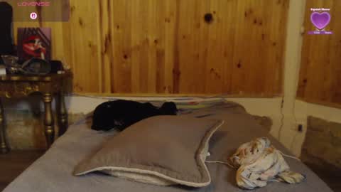 Agness online show from July 22, 12:46 am