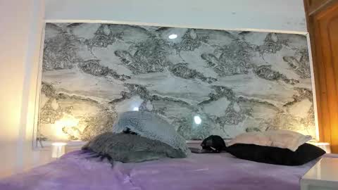 alejo_gray1 online show from November 16, 4:47 am