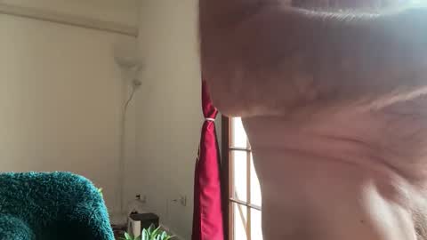 Alex online show from November 24, 2:05 pm