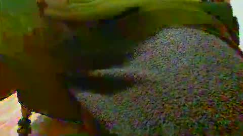 Snapshot of alexhot4her chatting on September 23, 11:22 pm Alex online show from September 23, 11:22 pm