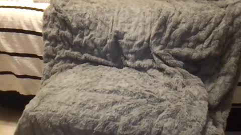 alexxy2 online show from December 1, 8:01 am