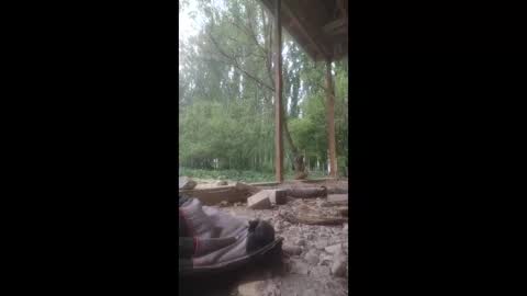 ali266113 online show from April 23, 6:21 am