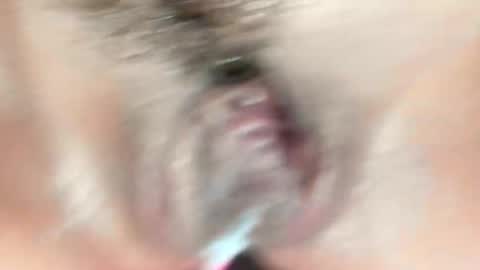 Alice online show from November 26, 2:42 am