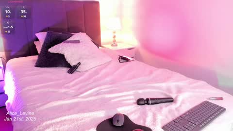 Snapshot of alice_levine chatting on January 22, 12:48 am Alice online show from January 22, 12:48 am