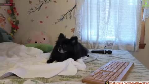 Alice Rivers ---- Enter my public Discord-  online show from February 5, 9:29 pm