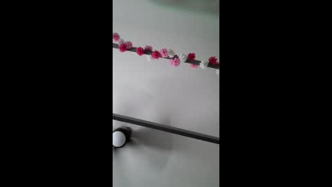 patrick online show from March 29, 11:28 pm