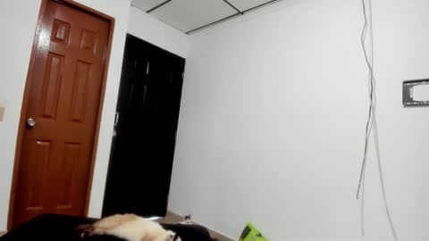 allgol8 online show from February 19, 8:08 pm