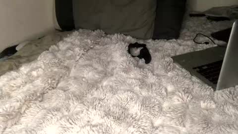 allthewayup10 online show from March 2, 8:38 am