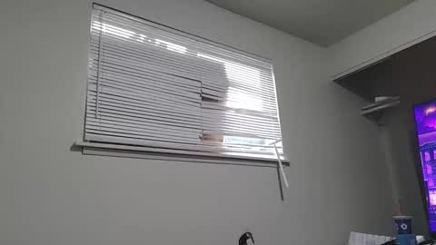 alotacat online show from October 28, 11:06 pm