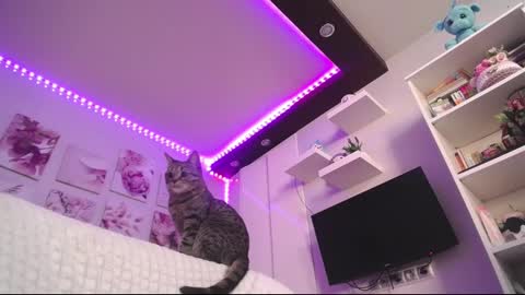 amazing_agness online show from February 23, 7:00 am