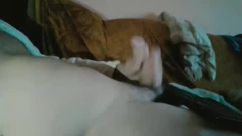 Snapshot of amazingcuteboy845 chatting on October 23, 11:05 pm amazingcuteboy845 online show from October 23, 11:05 pm