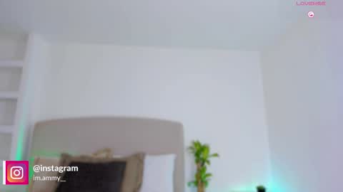 AMMY online show from February 20, 7:49 pm