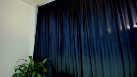 Ann online show from December 2, 8:06 pm