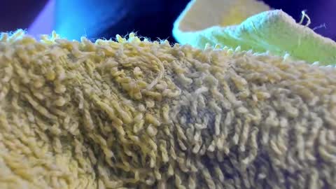 Ana Myle online show from February 11, 5:40 pm