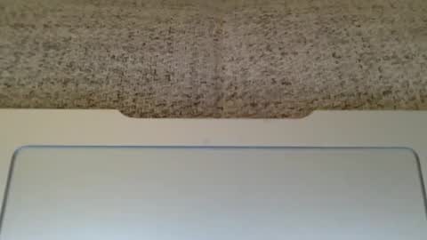 Andees222 online show from November 11, 9:39 pm