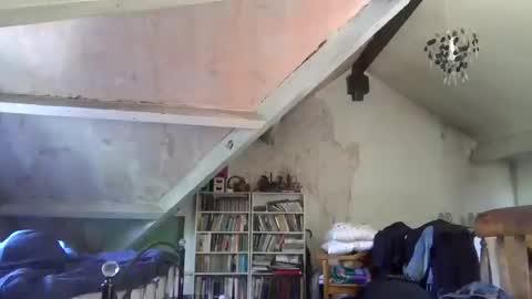 Andrew online show from July 14, 11:48 am