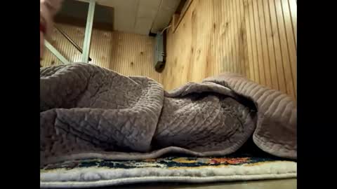 aneoakley online show from January 13, 12:40 am