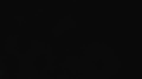 Angel Bunny online show from March 10, 7:29 pm